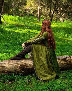 full length portrait of beautiful female model, wearing green medieval historical gown costume with cape. sitting figure pose on tree branch.  Magical lake forest background 