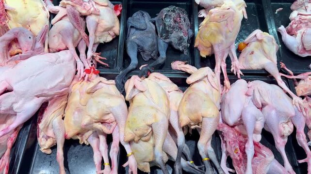 Whole Chickens on Display at Supermarket Meat Counter &ndash; Assorted Poultry Including White Broilers, Free-Range Hens and Black Silkie Chickens for Retail Sale