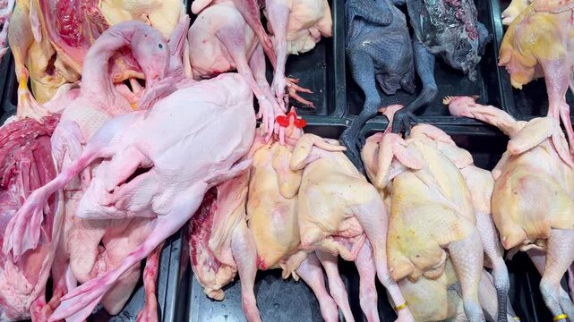 Whole Chickens on Display at Supermarket Meat Counter &ndash; Assorted Poultry Including White Broilers, Free-Range Hens and Black Silkie Chickens for Retail Sale