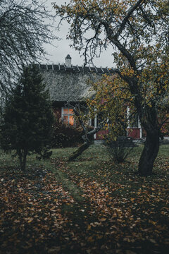 Laane County, Estonia - 31 October 2024: View of a traditional red wooden house with a thatched roof on Vormsi, surrounded by autumn trees and fallen leaves with a warm light in the window.