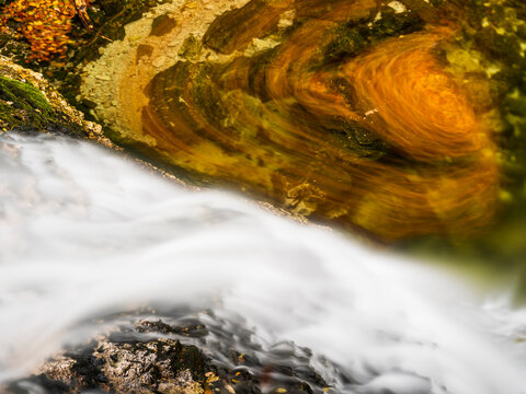 Waterfall stream with swirling yellow autumn leaves flows over mossy rocks in nature tourism destination for outdoor exploration, Goriuda waterfall, Julian Alps, Chiusaforte, Friuli, Italy.