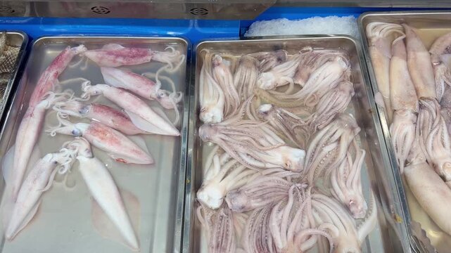Supermarket Live Seafood Display &ndash; Fresh Crabs, Lobsters, Prawns, Mussels, Clams and Other Shellfish in Aerated Aquarium 