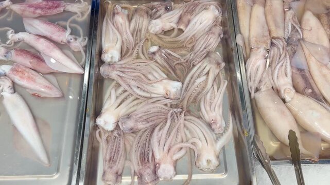 Supermarket Live Seafood Display &ndash; Fresh Crabs, Lobsters, Prawns, Mussels, Clams and Other Shellfish in Aerated Aquarium 