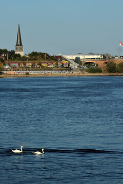 Mainz - Mayence - Rhin