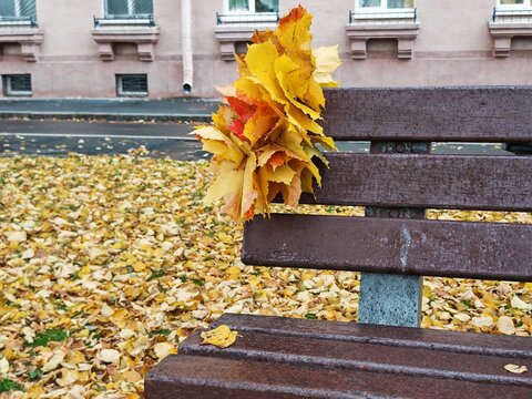 Autumn leaf crown resting on a wooden park bench surrounded by fallen leaves, seasonal decoration, quiet nature, and creative fall concept.