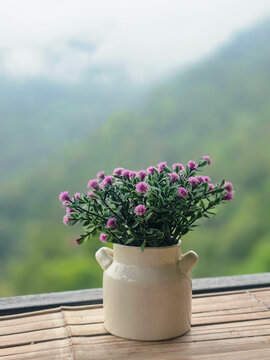 Potted plant purple flower ceramic pot green leaf balcony scene mountain view