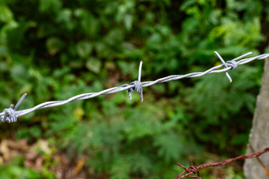 Close up of sharp metallic barbed wire fence in outdoor natural environment