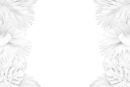 Detailed fern leaf sketch with delicate fronds and veins is presented on transparent background foliage botanical herbarium leaves plant flora drawing illustration vector