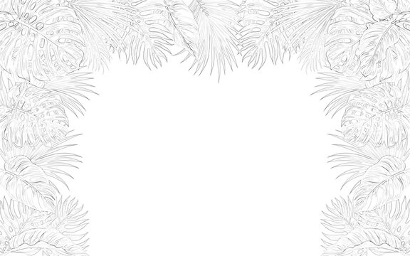 A detailed botanical sketch of a fern leaf rests on transparent background foliage drawing illustration plant leaves flora vegetation nature organic intricate delicate