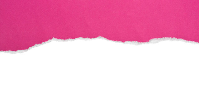 Torn pink paper with a curved white copy space