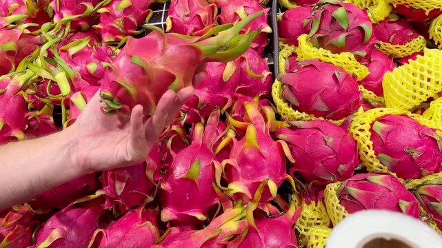 Fresh Tropical Fruits on Display in Supermarket Produce Section &ndash; Assorted Mangoes, Dragon Fruit and Passion Fruit Stacked at the Vegetable Counter