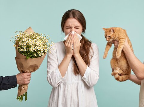 Woman in white dress sneezing into tissue, eyes shut. Hand offers bouquet of daisies at left, another holds ginger cat at right; allergy concept, no text