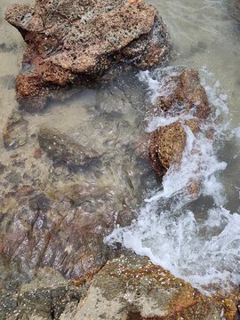 High angle top-down view looking into a narrow sandy crevice surrounded by barnacle-covered coastal rocks and clear incoming sea water.