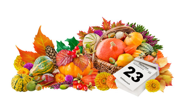 Natural decorations with German calendar 2026 September 23 Wednesday  Beginning of Autumn  isolated on white background
