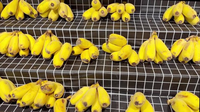 Fresh Banana Varieties in Supermarket Fruit Section &ndash; Baby and Plantain Bananas on Display