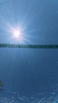 Low Angle View of Man Swimming Backstroke in Pool Under Sun