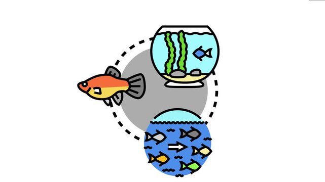 Aquatic animals and fish living in a fishbowl environment with plants and pebbles, alongside a school of smaller marine life moving in unison in a conceptual water circle