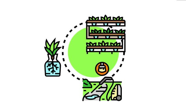 Modern gardening concept various cultivation methods including a multi tiered hydroponic system. A plant growing with developed roots in water. And tools for harvesting crops