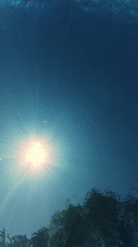 Underwater Low Angle View of Sun Rays Shining Through Blue Water