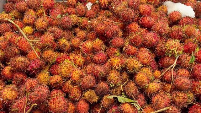 Fresh Rambutan in Supermarket Exotic Fruit Section 