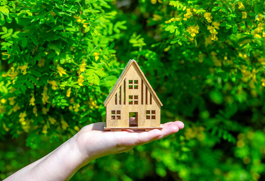 A girl holds the symbol of a house against a blooming acacia tree
