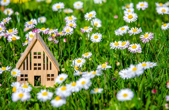 The symbol of the house stands among white daisies
