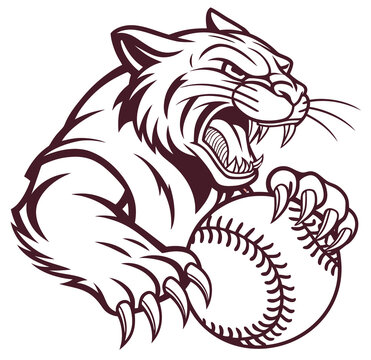 tiger holding baseball ball