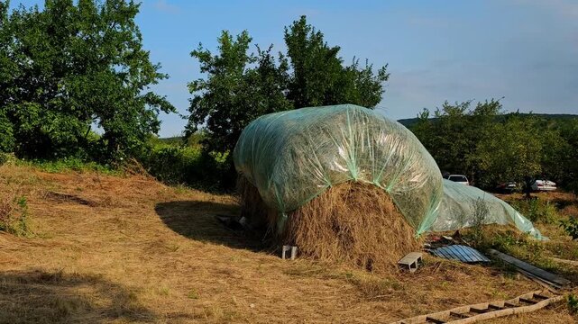 A traditional Romanian haystack covered with a protective plastic tarp on a sunny farm field in a countryside village in Moldavia.