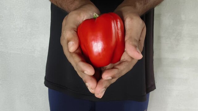 Closeup of person hand holding organic and fresh raw red colour capsicum, peperone or bell pepper fruit. Natural source of vitamins, nutrients and antioxidants. Healthy diet lifestyle concept.