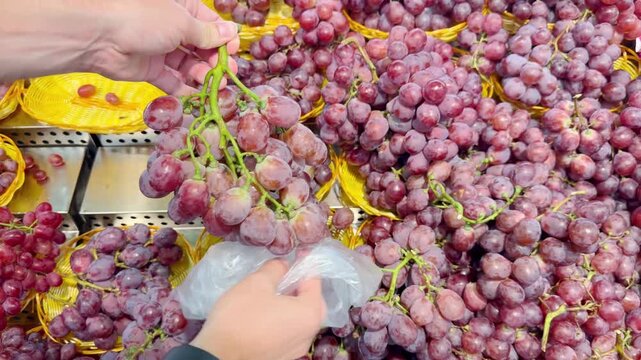 Fresh Grape Varieties in Supermarket Fruit Section &ndash; Green, Red and Black Table Grapes on Display