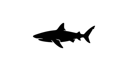 Fototapeta premium Silhouette of a great white shark swimming underwater.