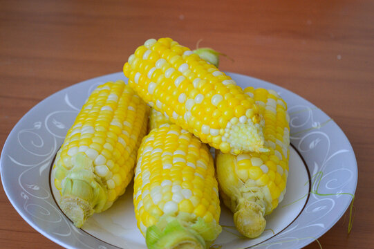 Boiled sweet corn on cobs served on ceramic plate. Summer harvest seasonal food, healthy organic snack, traditional family lunch meal, agricultural crop and cooking recipe concept