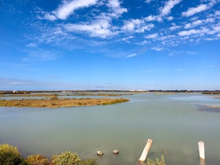 View from the Sendero Salina Carboneros hiking trail over the water surfaces with greenery of the Bahía Cádiz Natural Park, between Chiclana de la Frontera, San Fernando and Cadiz, Andalusia, Spain © keBu.Medien