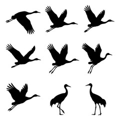 Naklejka premium Flying Crane Bird Silhouettes Vector Set for Nature Design and Wildlife Graphics