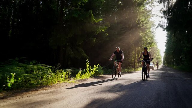 Cyclists riding along a tranquil forest road in warm afternoon sunlight, casting long shadows across the quiet gravel path surrounded by tall green trees and foliage