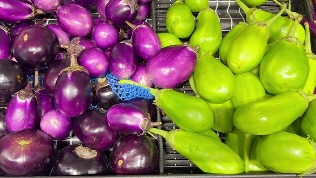 Different Types of Eggplants in Grocery Store Vegetable Aisle 