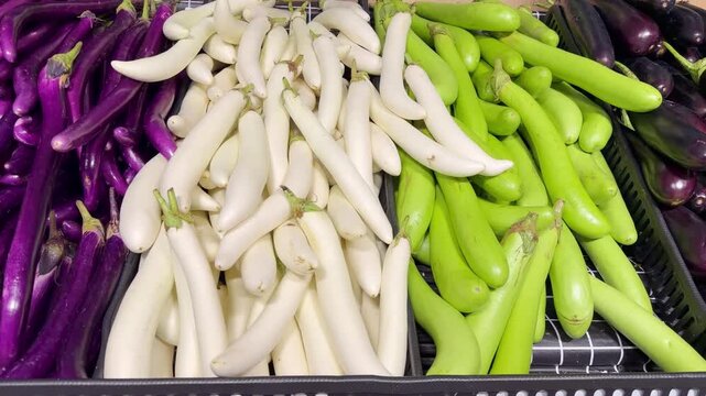 Different Types of Eggplants in Grocery Store Vegetable Aisle 