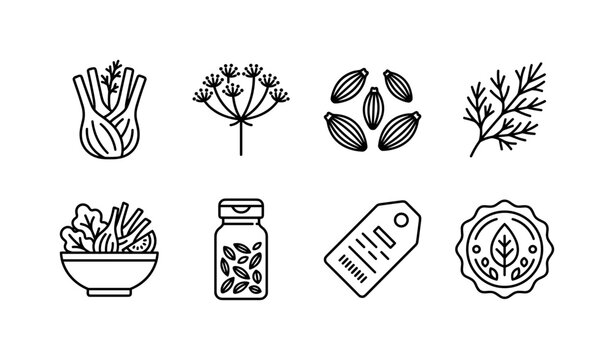 Fennel Market Collection, line icon set featuring fennel root, inflorescence, seed, leaf, salad bowl, spice bottle, market label and organic badge, covering fennel, healthy food, culinary products and
