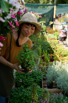 Asian Woman Shopping For Potted Herbs At Outdoor Plant Market Wearing Straw Hat For Green Lifestyle
