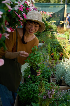 Asian Woman Shopping Plants At Outdoor Nursery Smiling While Inspecting Potted Herbs In Sun Hat