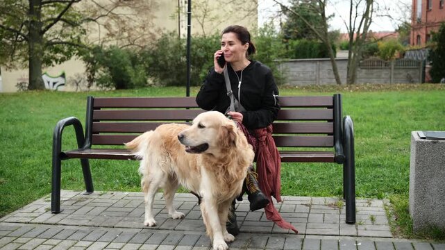 Woman Talking On The Phone Sitting On A Bench In The Park, Walk With Golden Retriever