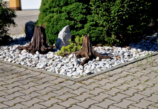 Transforming garden stumps or weathered wood into decorative features&mdash;like stumpery blends organic textures with landscape design. Design Elements
​Natural Weathered Wood: Upturned root bases or hollo