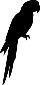 Macaw parrot silhouette vector illustration exotic tropical bird isolated icon.