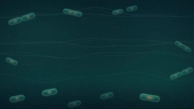 Glowing bacteria cell dividing over dark background seamless loop