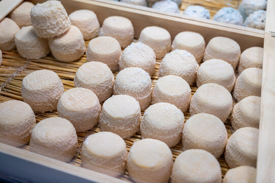 Crottin de Chavignol small French goat cheese from Loire Valley village of Chavignol, natural rind that matures from white to bluish-grey with age in cheese farm