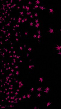 Purple leaves swirling and falling on black backdrop, aesthetic sakura foliage motion, vertical video overlay for romance stories, autumn nature background, melancholic splash screen 