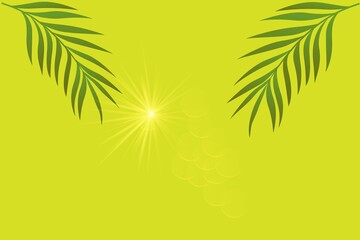Obraz premium Bright sunlight shining through palm fronds isolated on white background