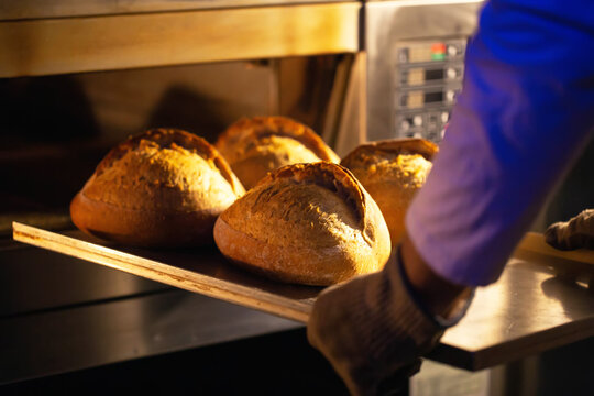 Baker hands placing warm, golden-crusted artisan bread loaves on metal peel into hot industrial oven, demonstrating manual production.