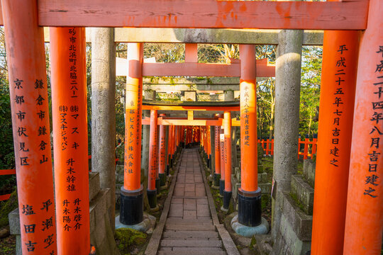 Kyoto, Japan - 08 March 2020: View of Senbon Torii gates at Fushimi Inari Shrine with vibrant orange vermilion pillars, stone path, and lush forest surroundings.