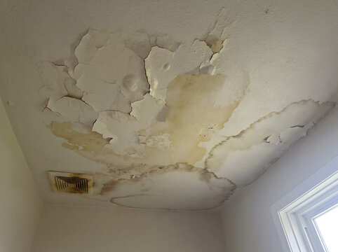 Water damage causes severe peeling paint and brown staining on a ceiling.